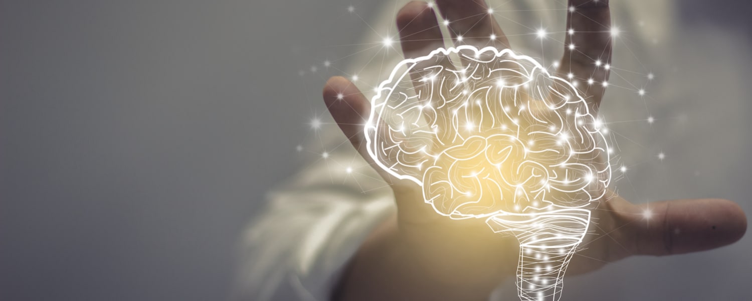 Austrian Master Classes Top Image